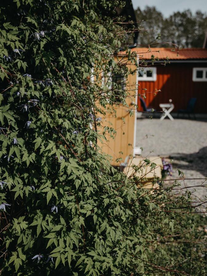 En Lantlig Idyll Med Skogen Precis Utanfoer Doerren! Ullared Exterior foto