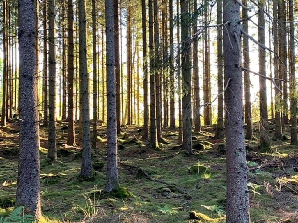En Lantlig Idyll Med Skogen Precis Utanfoer Doerren! Ullared Exterior foto